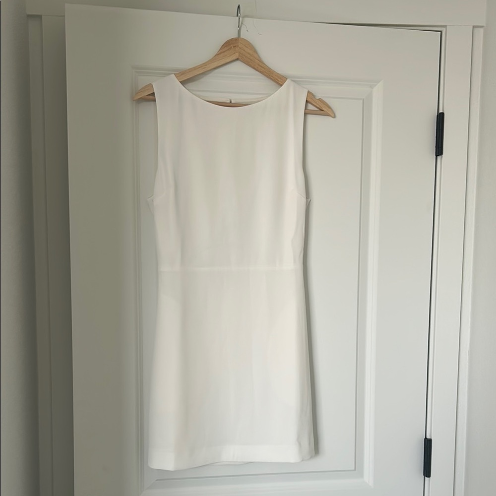 Aritzia Babaton Spectre Mini Dress